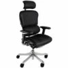 Ergohuman Plus Luxury Leather Office Chair (With Headrest)