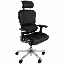 Ergohuman Plus Luxury Leather Office Chair (With Headrest)