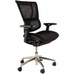 Mirus Ergonomic Mesh Office Chair (Without Headrest)