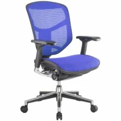 Enjoy Mesh Office Chairs (Without Headrest) 11 Enjoy Mesh Office Chairs (Without Headrest) -Office Furniture Sales 2024 029346