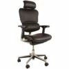 Ergohuman Elite Leather Office Chairs (With Headrest)