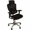 Ergohuman Elite Mesh Office Chairs (With Headrest)