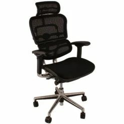 Ergohuman Elite Mesh Office Chairs (With Headrest)