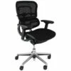 Ergohuman Elite Mesh Office Chairs (Without Headrest)