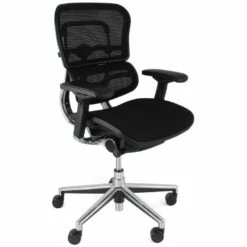 Ergohuman Elite Mesh Office Chairs (Without Headrest)