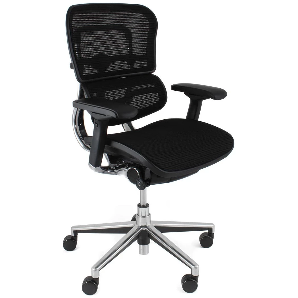 Ergohuman Elite Mesh Office Chairs (Without Headrest) 1 Ergohuman Elite Mesh Office Chairs (Without Headrest)