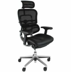 Ergohuman Elite Mesh & Leather Office Chairs (With Headrest)