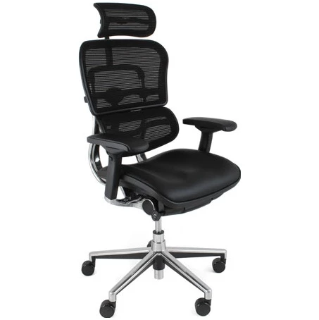 Ergohuman Elite Mesh & Leather Office Chairs (With Headrest) 1 Ergohuman Elite Mesh & Leather Office Chairs (With Headrest)