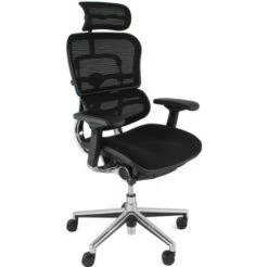 Ergohuman Elite Mesh & Fabric Office Chairs (With Headrest)