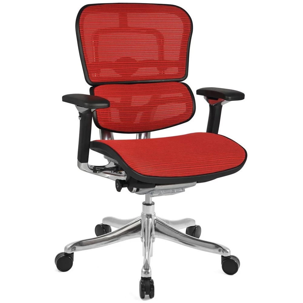 Ergohuman Plus Luxury Mesh Office Chair (Without Headrest) 2 Ergohuman Plus Luxury Mesh Office Chair (Without Headrest) - Image 2
