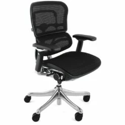 Ergohuman Plus Luxury Mesh Office Chair (Without Headrest)