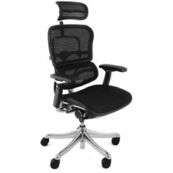 Ergohuman Plus Luxury Mesh Office Chair (With Headrest)