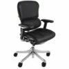 Ergohuman Plus Luxury Leather Office Chair (Without Headrest)