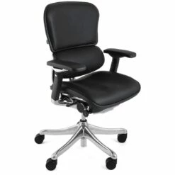Ergohuman Plus Luxury Leather Office Chair (Without Headrest)