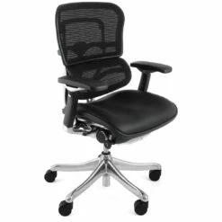 Ergohuman Plus Luxury Mesh & Leather Chair (Without Headrest)
