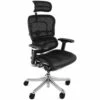 Ergohuman Plus Luxury Mesh & Leather Chair (With Headrest)