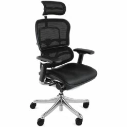 Ergohuman Plus Luxury Mesh & Leather Chair (With Headrest)