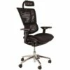 Mirus Ergonomic Mesh Office Chair (With Headrest)
