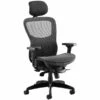 Raptor Full Mesh Office Chair With Headrest