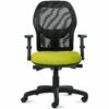 Mantle Mesh Back Ergonomic Task Chair