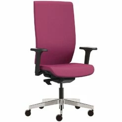 Pledge Kind Full Back Executive Chair With Height Adjustable Arms