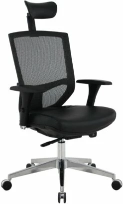 Eve 24/7 Ergonomic Mesh And Leather Task Chair