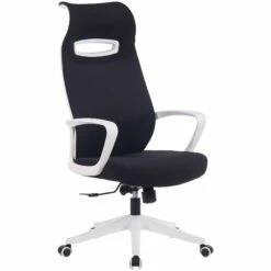 Spectra Mesh Office Chair 12 Spectra Mesh Office Chair -Office Furniture Sales 2024 082490