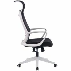Spectra Mesh Office Chair 13 Spectra Mesh Office Chair -Office Furniture Sales 2024 082491