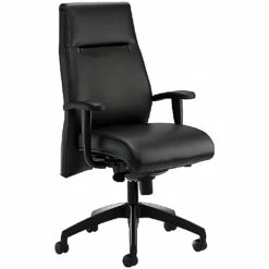 Summit Essence Executive Leather Chair