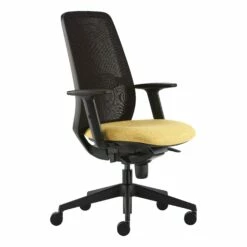 Pledge Eclipse Mesh Back Task Chair -Office Furniture Sales 2024 098698