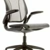 Humanscale Diffrient World Chair