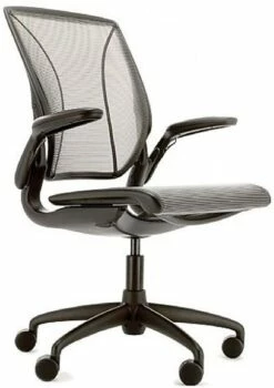 Humanscale Diffrient World Chair