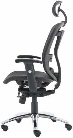 Carinosa II Mesh Office Chair -Office Furniture Sales 2024 104325