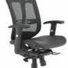 Carinosa II Mesh Office Chair