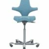 HAG Capisco 8106 Chair