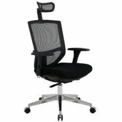 Eve 24/7 Ergonomic Mesh & Fabric Task Chair