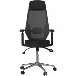Cassis Mesh Office Chair -Office Furniture Sales 2024 109325